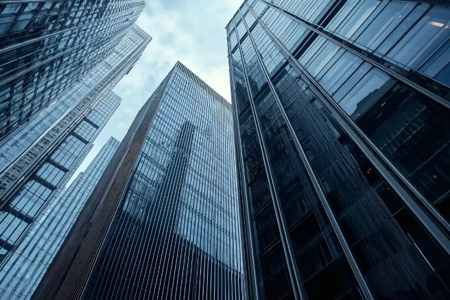 commercial mold removal